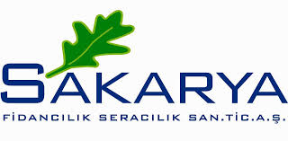  sakarya fidancılık  